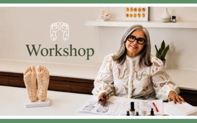Você nao pode perder!
